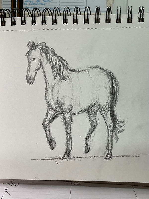 Firsts in Drawing 1 Class--I drew a horse!