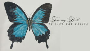 Butterfly Desktop Wallpaper Freebie