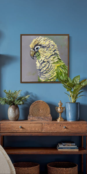 Oliver the Parrot image 1