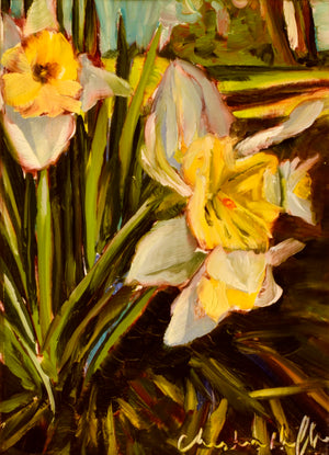 Daffodils image 0