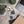 Donuts (Clear Case for iPhone®) image 36