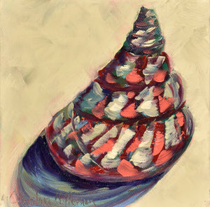 SeaShell image 0