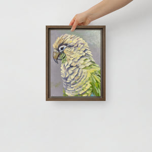 Oliver the Parrot image 0
