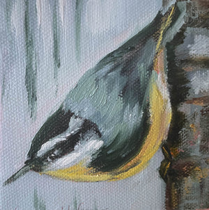 Nuthatch image 0