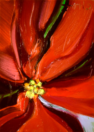 Poinsettia image 0
