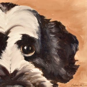 Pet Portrait image 0