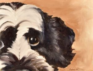 Pet Portrait image 0