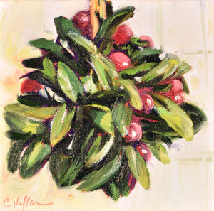 Mistletoe image 0