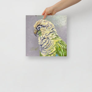 Parrot Poster image 0