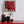 Poinsettia in Oil