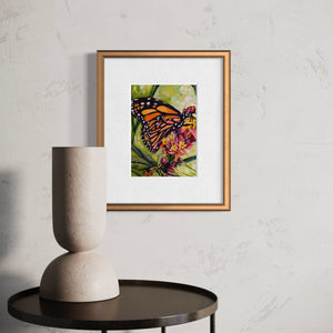 Monarch from Hilton Head