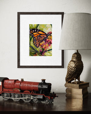 Monarch from Hilton Head