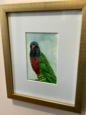 Peter the Parrot