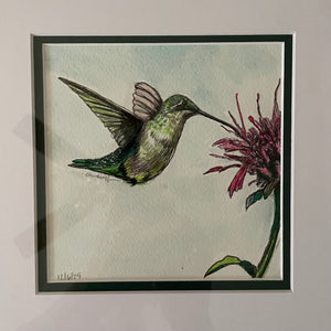 Hummingbird with Blossom
