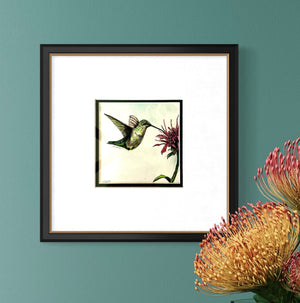 Hummingbird with Blossom