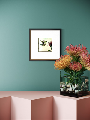 Hummingbird with Blossom