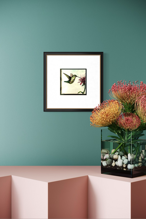 Hummingbird with Blossom