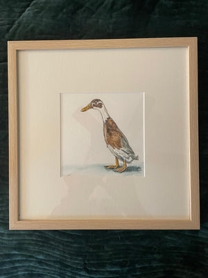 Jason the Mischievous Runner Duck