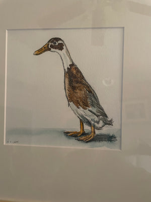 Jason the Mischievous Runner Duck