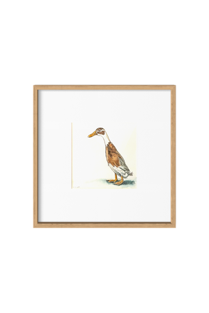 Jason the Mischievous Runner Duck