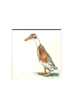 Jason the Mischievous Runner Duck