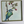 A framed watercolor painting of a bluebird perched on a branch with red berries, displayed against a light gray wall with soft shadows.