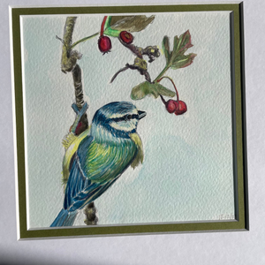 A framed watercolor painting of a bluebird perched on a branch with red berries, displayed against a light gray wall with soft shadows.