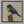Eastern Bluebird (watercolor)