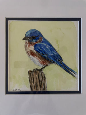 Eastern Bluebird (watercolor)