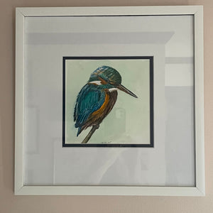 Colorful Kingfisher