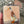 Jason the Runner Duck