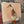 Jason the Runner Duck