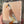 Jason the Runner Duck
