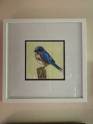 Eastern Bluebird (watercolor)