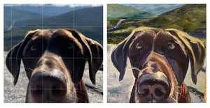 Hiking Buddy--sold