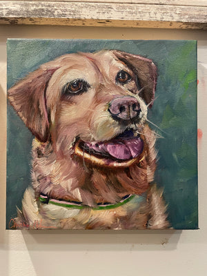 Yellow Lab---Sold