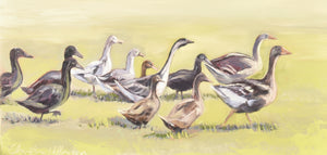 Waddle Waddle image 0