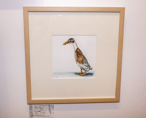 Jason the Mischievous Runner Duck