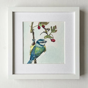 Eurasian Blue Tit (original watercolor)